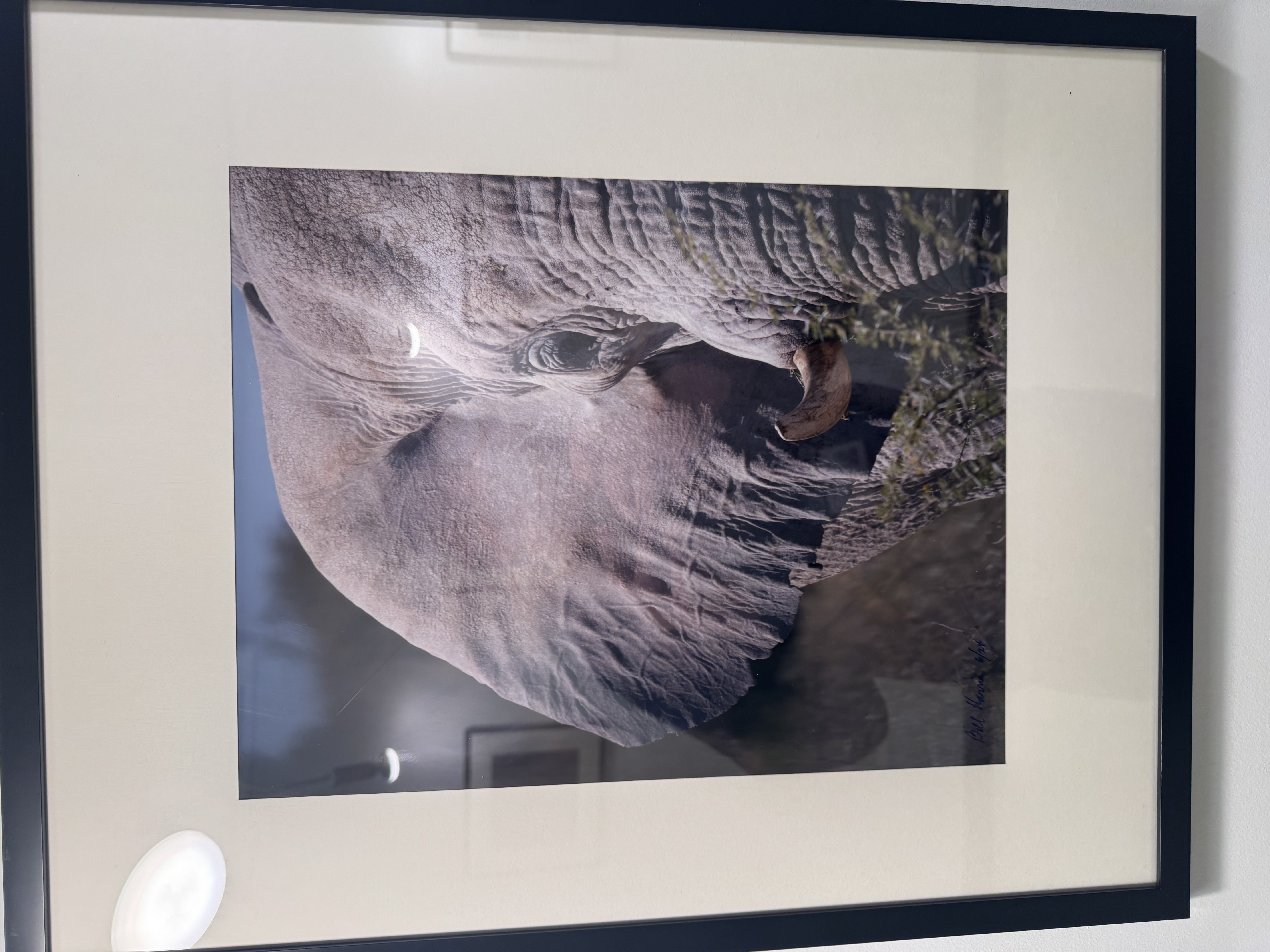 Bill Harris Africa photo