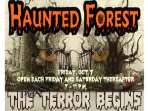 haunted-forest-2016-web-tv