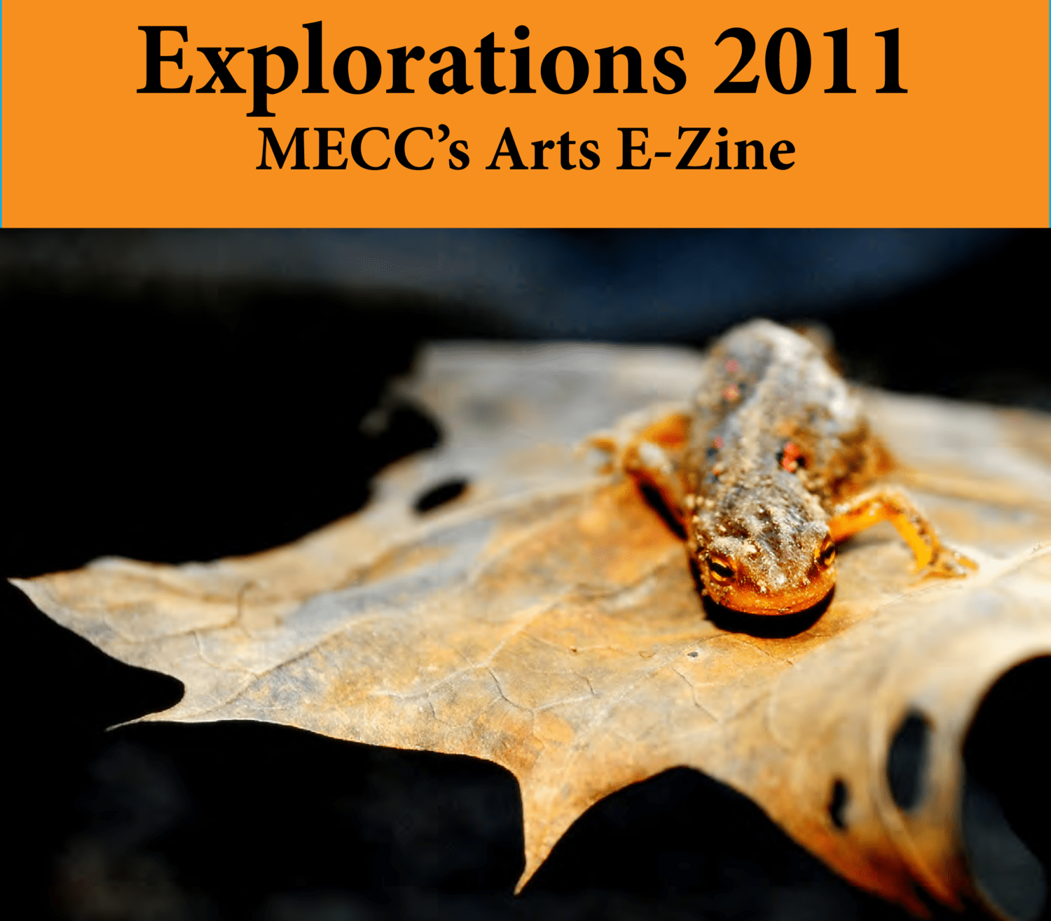 Explorations Ezine 2011